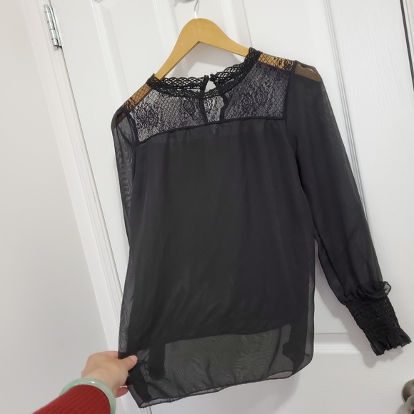 Romantic Rose Lace Yoke Sheer Blouse - Picture 5 of 5